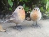 Pair Of Cute Robin Birds Ornaments Garden Resin Weatherproof Gift