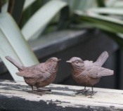 Pair of Wrens